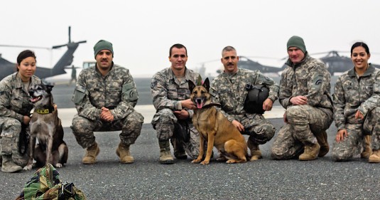 Army Guard Soldiers Work with Air Force K-9s